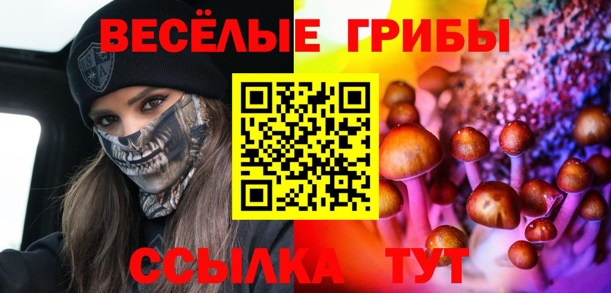 Галлюциногенные грибы MAGIC MUSHROOMS Сочи